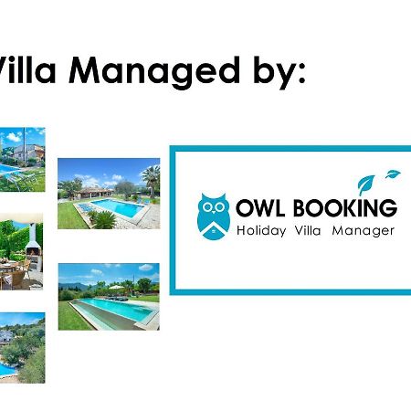 Owl Booking Villa Xisca - 18 Min Walk To The Old Town Pollença Eksteriør billede